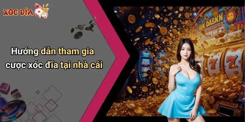 Hướng dẫn tham gia cược xóc đĩa tại nhà cái