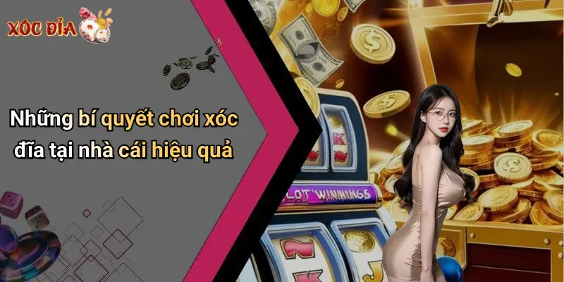 Những bí quyết chơi xóc đĩa tại nhà cái hiệu quả