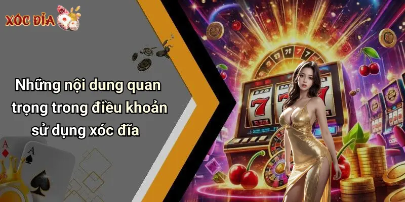 Những nội dung quan trọng trong điều khoản sử dụng xóc đĩa