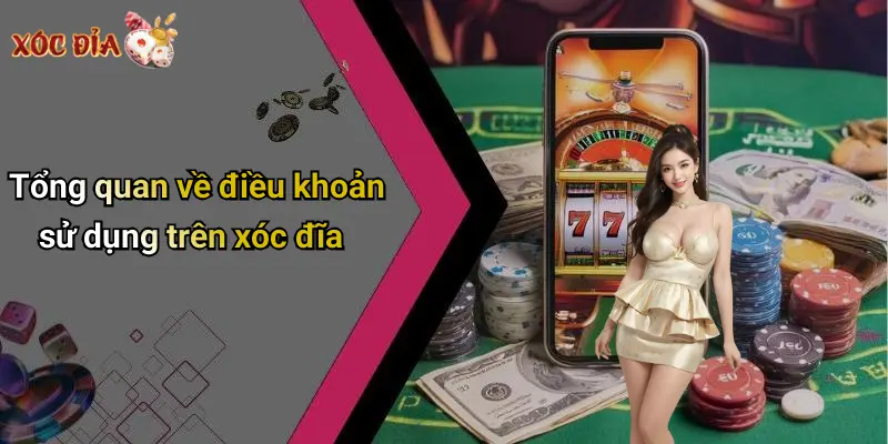 Tổng quan về điều khoản sử dụng trên xóc đĩa
