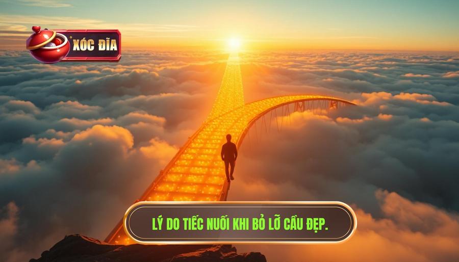 Lý Do Tiếc Nuối Khi Bỏ Lỡ Cầu đẹp.