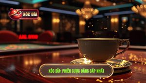 XÓc ĐĨa Phiên Cược đẳng Cấp Nhất