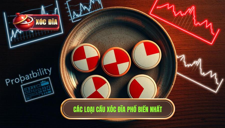 2. Các Loại Cầu Xóc đĩa Phổ Biến Nhất