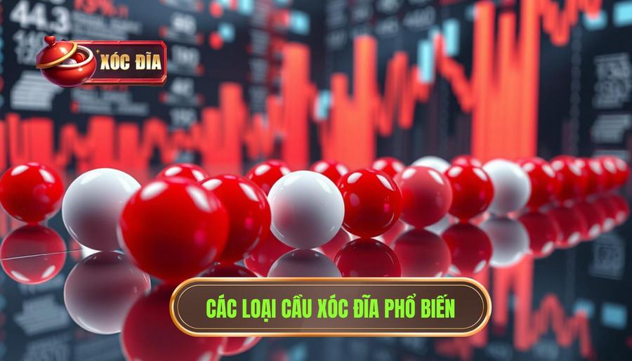2. Các Loại Cầu Xóc đĩa Phổ Biến