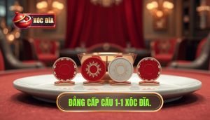 Đẳng Cấp Cầu 1 1 XÓc ĐĨa.