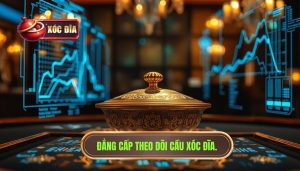 Đẳng Cấp Theo Dõi Cầu XÓc ĐĨa.